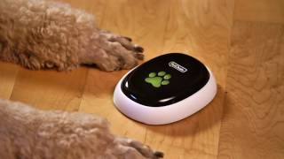 PetChatz® HD and PawCall® Never worry about you pet again Your pet can call you [upl. by Lagasse]