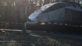 Amtrak Acela And ACS64 Compilation Part 1 [upl. by Imar]