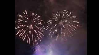 Fireworks Display Bonfire Night uk family fun viralvideo celebration [upl. by Euqinwahs]