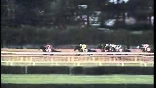 Easy Goer  1989 Belmont Stakes [upl. by Aarika]