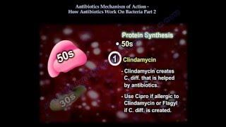 How antibiotics work  Part 2  Everything You Need To Know  Dr Nabil Ebraheim [upl. by Caffrey]