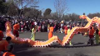 Yun Yee Tong Lion Dance Part 25 [upl. by Dira]