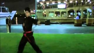 Kung Fu in Dubai  UAE Kung Fu  Wu Shu Master hang [upl. by Maryanna762]