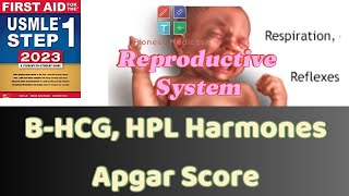 USMLE Step 1 HCG HPL APGAR score from First Aid Step 1Reproductive systemFCPSUrduHindi [upl. by Gombach]