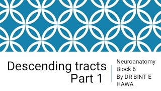 Descending Tracts Part 1  Corticospinal Tract  Neuroanatomy made easy by Dr Bint e Hawa [upl. by Duax]