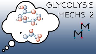 The Mechanisms of Glycolysis Part 2 [upl. by Aisitel590]