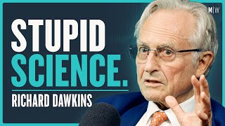 Why Can No One Agree On Evolution Race amp Religion  Richard Dawkins [upl. by Zerline]