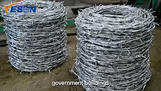 Production process of hot dipped galvanized barbed wire [upl. by Eaneg562]