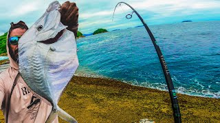 Pescando e Preparando na ILHA DO PRUMIRIM em UBATUBA [upl. by Assitruc]