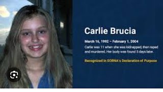 The Alarming Abduction Of Carie Brucia [upl. by Yrreb]