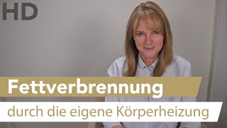 Stoffwechsel und Fettverbrennung – SO kannst du beides ankurbeln [upl. by Jorgensen]