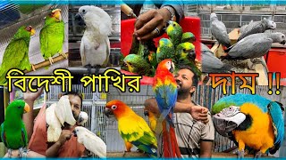 Cockatoo Macaw price in Bangladesh  Angry Bird pet shop  Exotic Birds price in Bangladesh [upl. by Sitoeht]