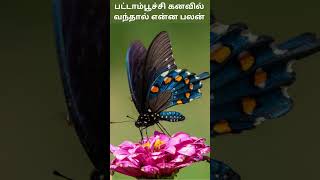 பட்டாம்பூச்சி கனவில் வந்தால் என்ன பலன்  Pattampoochi Kanavil Vanthal Enna Palan  Digital Naveen [upl. by Bev]