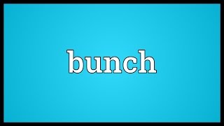 Bunch Meaning [upl. by Bevash]