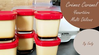 YAOURTIERE MULTI DELICES  Recette crèmes au caramel [upl. by Kinnie353]