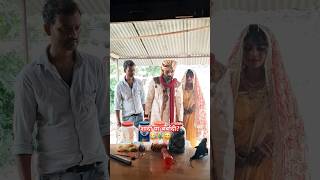 शादी या बर्बादी😂🦜😄shorts comedy talkingparrot funny viralshort [upl. by Hyland]