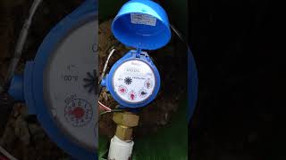 Manually Turn On 1 Sprinkler Zone Rainbird Controller [upl. by Somar823]