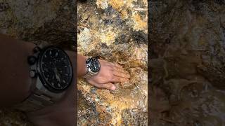 So Crazy😱😱‼️we got 5500 in one handheld golddiscovery goldprospecting goldtreasure [upl. by Beauchamp175]