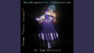 Morphogenetic Lamentation From quotZero Escapequot [upl. by Mirna708]