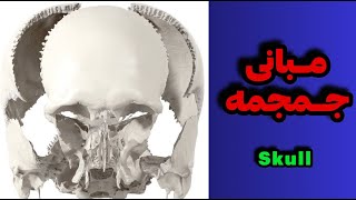 مبانی جمجمهskull [upl. by Nnyleve121]