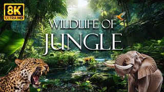 Wildlife Of Jungle 8K ULTRA HD  Animal Discovery Movie With Relaxing Piano Music [upl. by Essa720]