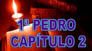 1º Epístola De Pedro  Biblia Hablada  Versión Reina Valera  Completo [upl. by Anthiathia]