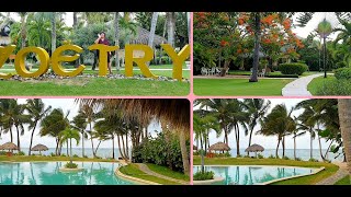 ZOETRY AGUA PUNTA CANA IN DETAIL [upl. by Iniretake402]