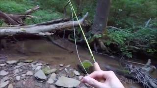 Micro fishing for trout with 1 wt fly rod [upl. by Trenna]