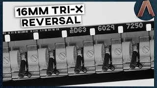 Developing 16MM TRIX Reversal Film at Home [upl. by Hill]