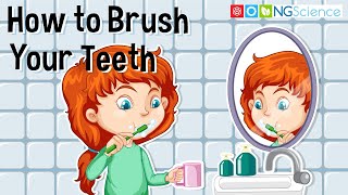 How to Brush Your Teeth [upl. by Royal]