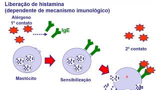 HISTAMINA E ANTI HISTAMINICOS [upl. by Naj]