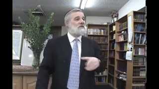 The 13 Principles of Judaism  Reincarnation Supplement to Principle 11 [upl. by Theta]