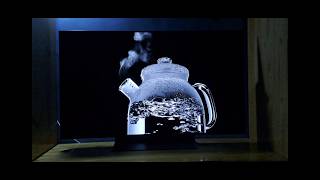 LG OLED EVO C4 2024 MODEL BLACK LEVEL TEST [upl. by Aitel]