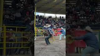 ¡El Jaripeo Más Intenso 🐂🔥 Jaripeo VidaVaquera AdrenalinaPura MontasExtremas [upl. by Rexferd]