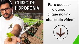 Curso de Hidroponia  Por Bruno Palma nutrientes [upl. by Chita]