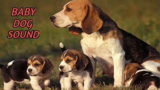 Baby Dog Sounds  Baby Dog Video Clips [upl. by Calabrese100]