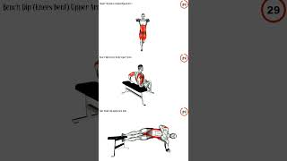 back workout at home v shred [upl. by Gorden]