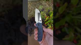 Kizer Towser S Richlite edc knifelife tools trending shorts foldingknife [upl. by Mata]