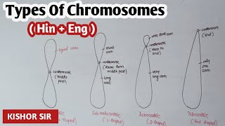 Types of chromosomes based on position of centromere  Kishor Zagare sir [upl. by Shaffer290]