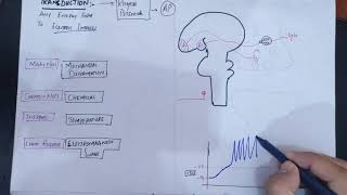 neurophysiology guyton Chapter 47receptor types differential sensitivity modality Transduction [upl. by Anneiv]