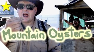 What are mountain oysters and what do they taste like  Hokitika wildfoods festival [upl. by Dutchman]