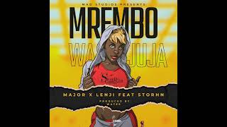 Major Mad X Lenji ft storhn yril  Mrembo wa jujaProd By Watee keepitmad [upl. by Gnoix]