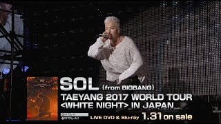 SOL from BIGBANG  1AM TAEYANG 2017 WORLD TOUR WHITE NIGHT IN JAPAN [upl. by Alleunamme]