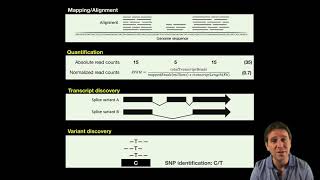 91 Differential Expression Analysis [upl. by Amron]