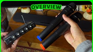 Soundtown Dual Mic Karaoke System REVIEW [upl. by Edra]