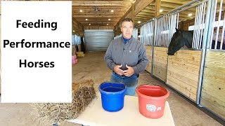 What I feed my performance horses and why [upl. by Inar]