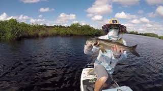 Catching a Snook Paddle Board Fly Fishing with a Blane Chocklett Game Changer Fly [upl. by Lili]