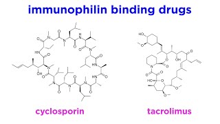 Immunomodulators Part 1 Immunosuppressants [upl. by Irahk]