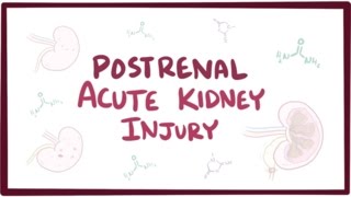 Postrenal acute kidney injury acute renal failure  causes symptoms amp pathology [upl. by Enirehs214]