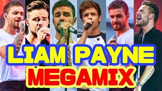 Liam Payne Megamix more than 50 songs by Jungle Sue [upl. by Secundas240]